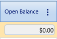 15.  Open Balance Field