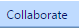 10. Collaborate Tab