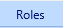 11. Roles Tab