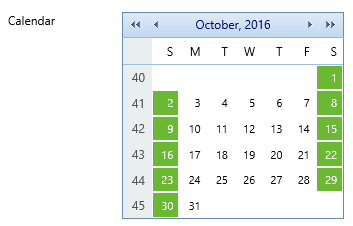 4. Date Picker Control