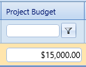 13. Project Budget Field