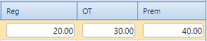 3. Pay Type Columns