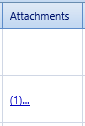 6. Attachments Field