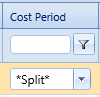 17. Cost Period Field