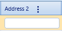 3. Address 2 Field