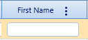 2. First Name Field