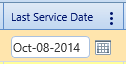 19.  Last Service Date Field