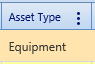 42.  Asset Type Field