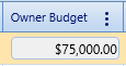 9. Owner Budget Field