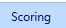 6. Scoring Tab