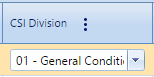 8. CSI Division Field