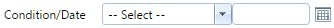 7. Condition/Date Fields