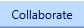 8. Collaborate Tab