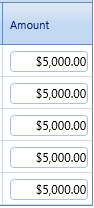 18. Amount Field