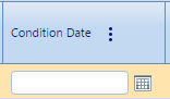 6. Condition Date Field