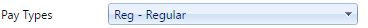 12. Pay Types