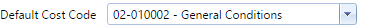 13. Default Cost Code