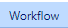 11. Workflow Tab