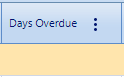 10. Days Overdue Field