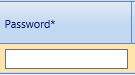 13. Password*