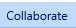 8. Collaborate Tab