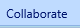 10. Collaborate Tab