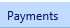 7. Payments Tab
