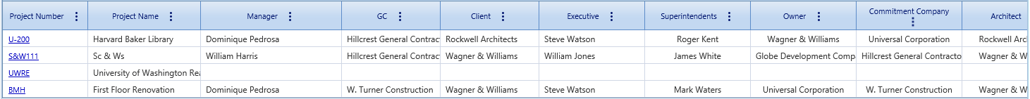 8. Projects Table