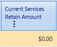 27. Current Services Retain Amount Field