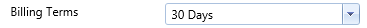 17. Billing Terms Field