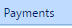 12. Payments Tab