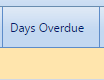11. Days Overdue Field