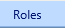 4. Roles Tab
