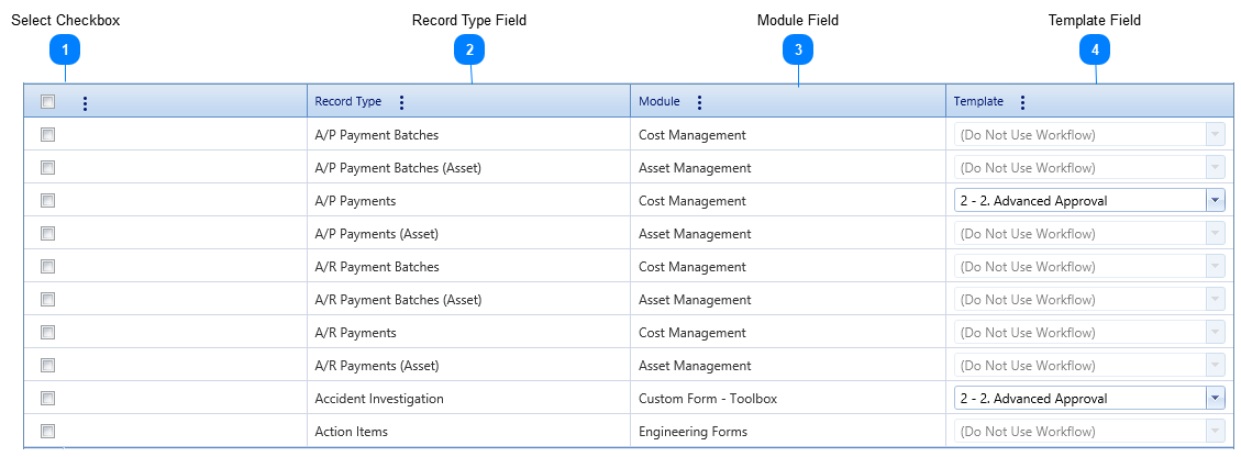 Record Types Tab Table