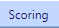 6. Scoring Tab