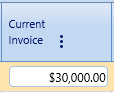 15.  Current Invoice Field