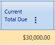 35.  Current Total Due Field