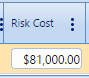 13. Risk Cost Field