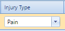 7. Injury Type Field