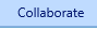 13. Collaborate Tab