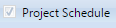 11. Project Schedule Checkbox