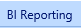 10. BI Reporting Tab