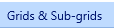 7. Grids & Sub-grids Tab