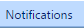 10. Notifications Tab