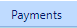 6. Payments Tab