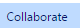 8. Collaborate Tab