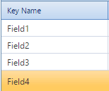 4. Key Name Field