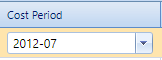 6. Cost Period Field