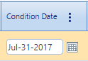 6. Date Field