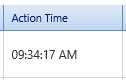 9. Action Time Field